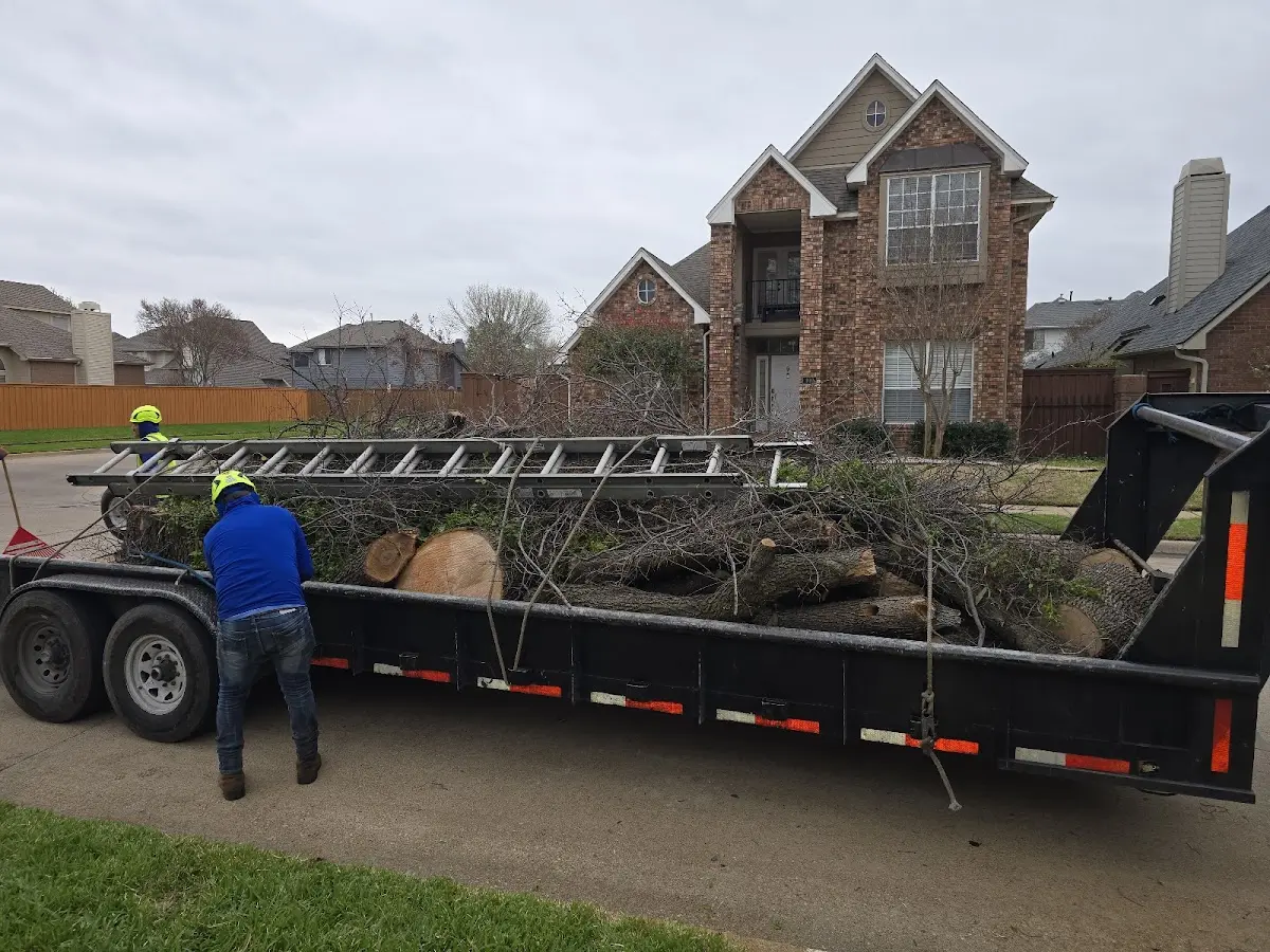 Expert Tree Pest Control with proper safety equipment in Spring Garden